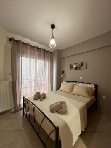 Agrinio Apartment | Αγρίνιο κέντρο ΔΣ A2