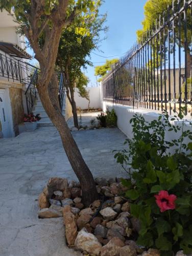 Salamis House | παραδοσιακό και ήρεμο καταλυμα