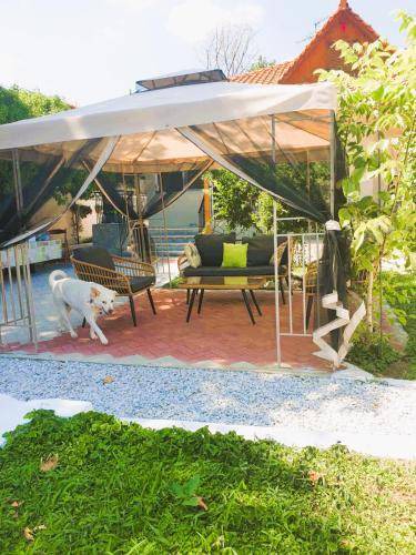 Asprovalta House | 99 m² House ∙ 3 bedrooms ∙ 8 guests