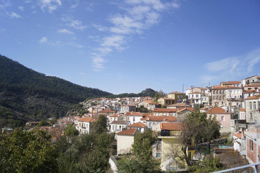 Agiasos House | Agiasos Theros