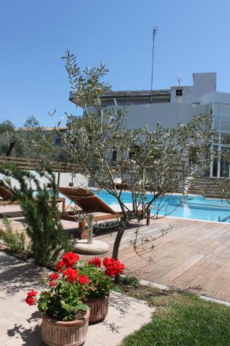 Diakofto Apartment | Alkistis Hotel