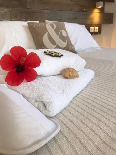 Aliki Apartment | Ammos Luxury Studios