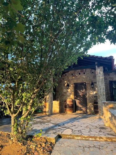 Volvi House | Ampeli StoneΗouse