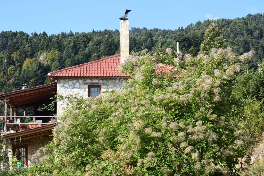 Mesaia Trikala Ski Chalet | Arli House