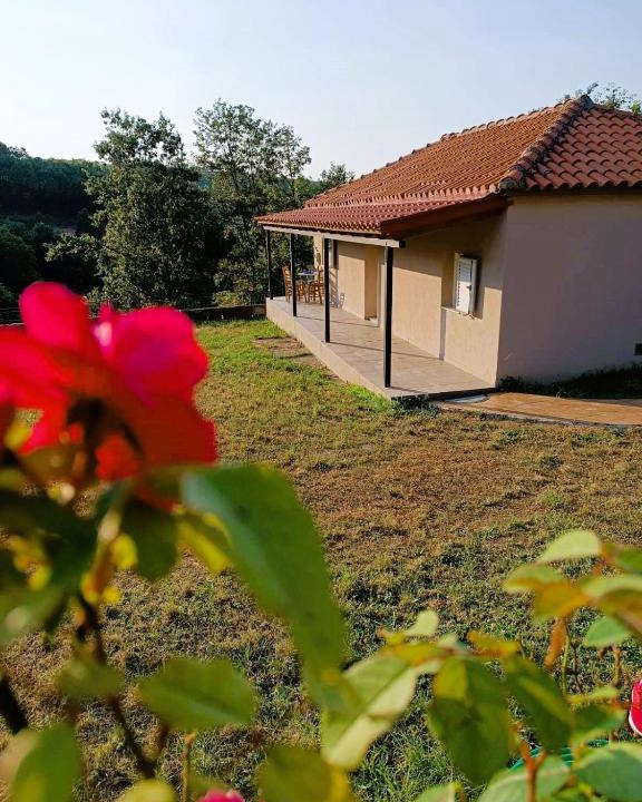 Vlachava House | Billy's house