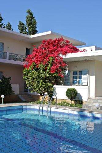 Nopigia Apartment | Cormoranos Apartments Rooms Eco Green