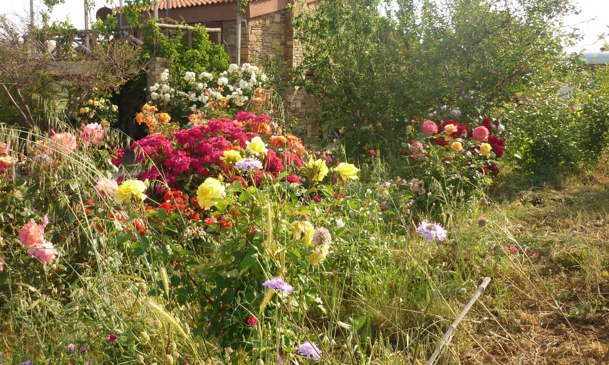 Lemnos Cottage | Cottage farmhouse.