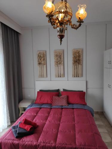 Komotini Apartment | Cozy apartments