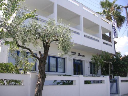 Thasos Town Hotel | Danae Hotel