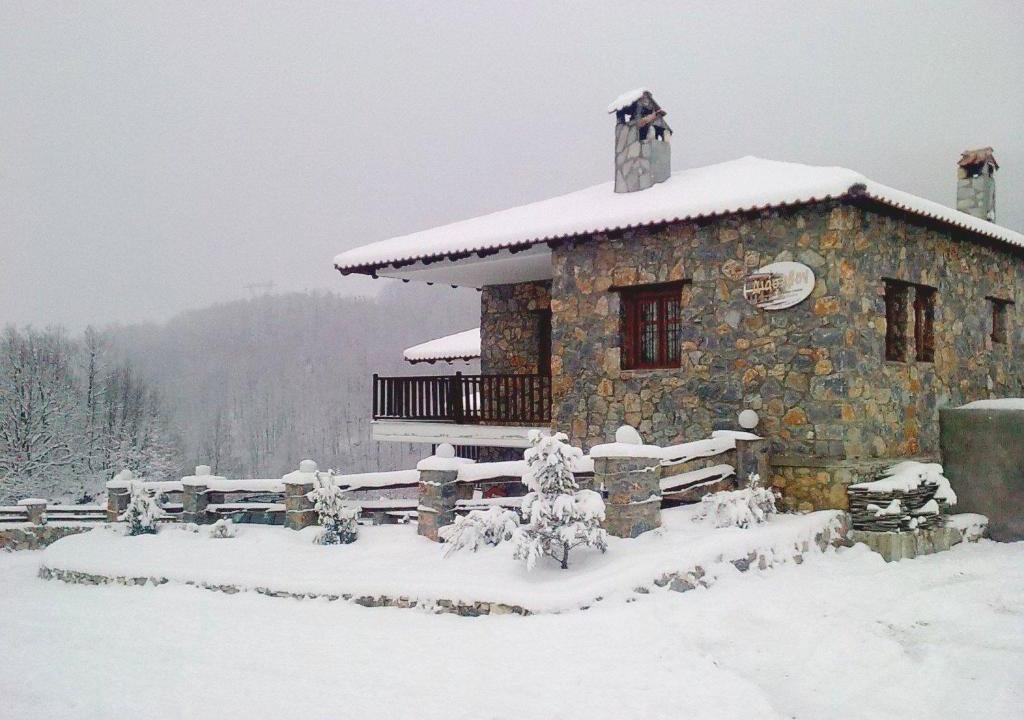 Elatochori Apartment | Diaselon