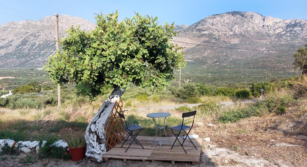 Vasiliki Apartment | Harmony Cottage