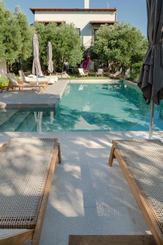 Ierissos Apartment | MAISON - ELEA