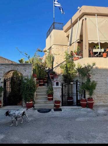 Sivas Apartment | Odysseus and Georgia