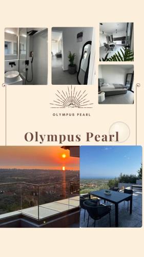 Skotina Apartment | Olympus Pearl