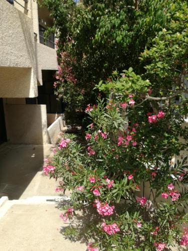 Agia Marina Apartment | Pericles Studios