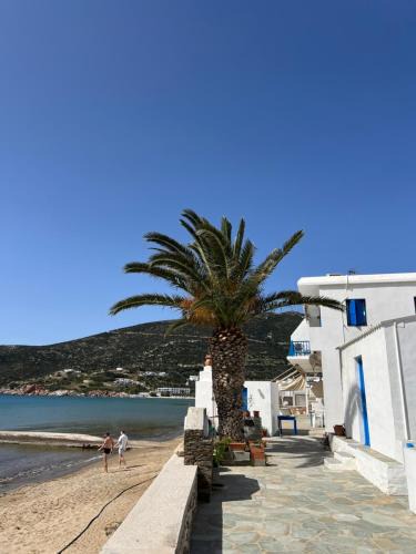 Platis Gialos Apartment | Petradi Residence Sifnos
