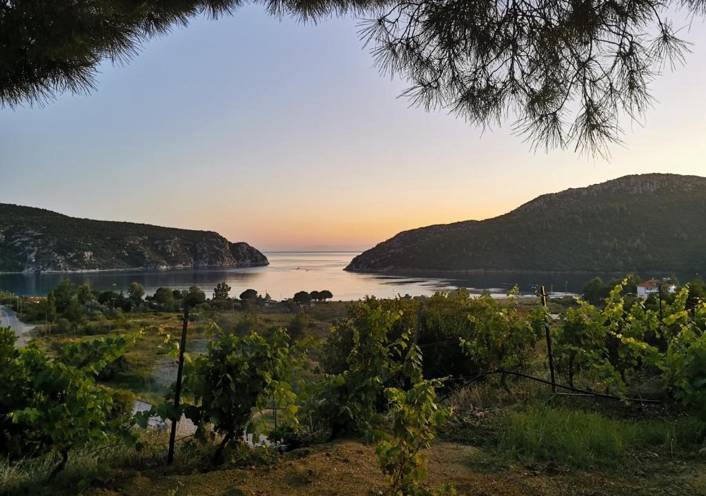 Porto Koufo Apartment | Porto Koufo Resort Bungalows