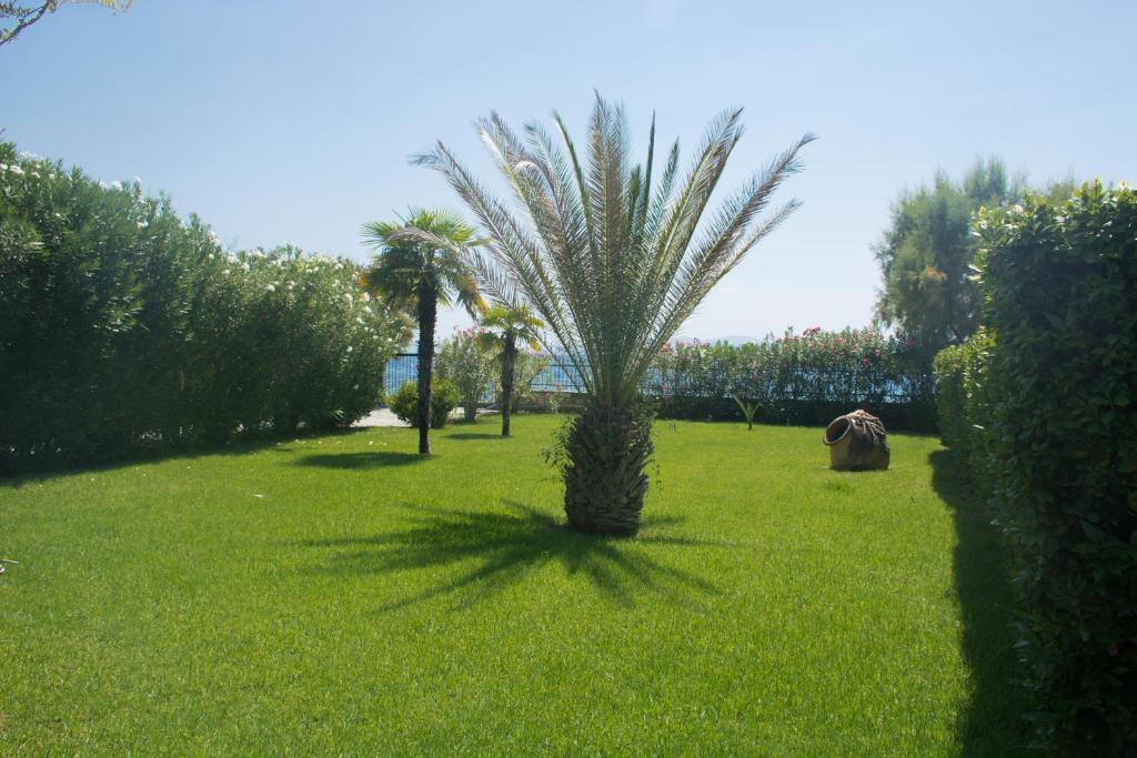 Volos House | Romantic Seafront Studio - Dream Garden