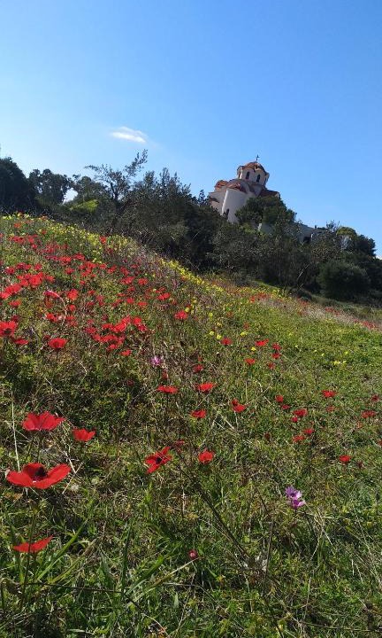 Legrena Villa | Secret garden