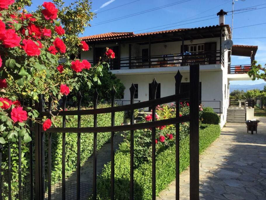 Zakhloritika House | Stavrianna Eco farmhouse #2 Digital Nomad paradise