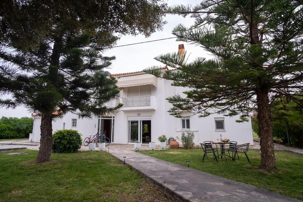 Potokaki House | Stefano's Home