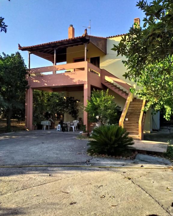 Agios Minas Apartment | The Green Garden in AGIA VASSA