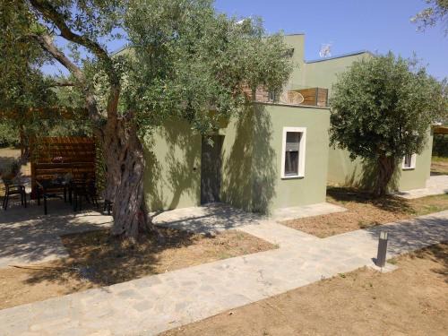 Prinos Apartment | The Thassian Yard Houses