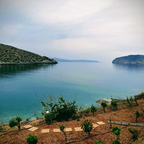 Pefki House | Tholos Alexandra's Beachfront House