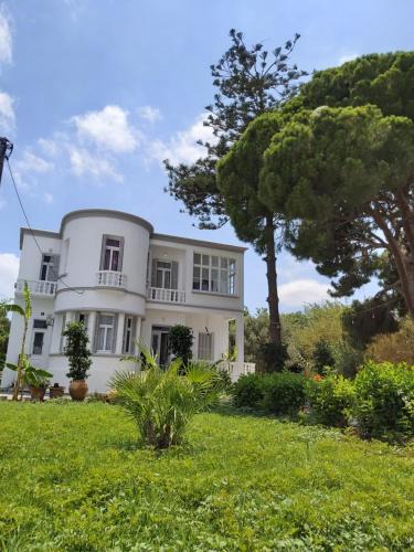 Petaloudes House | Tower Traditional Pool Villa