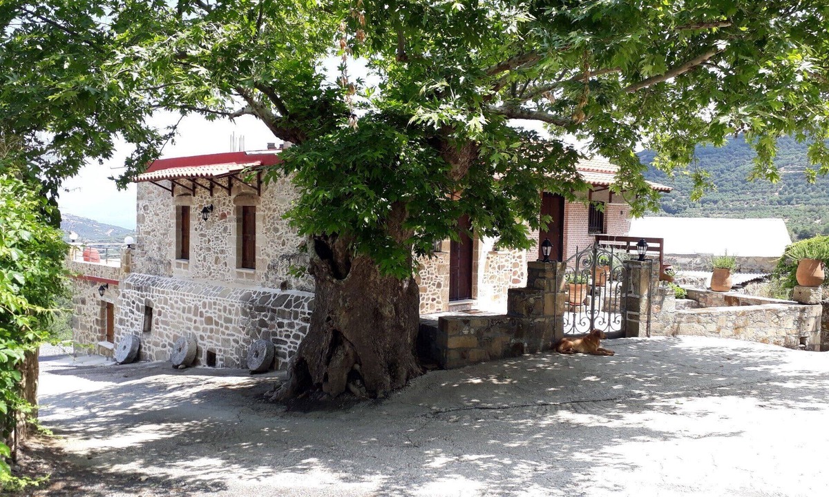 Koukounara Cottage | Traditional house koukounara