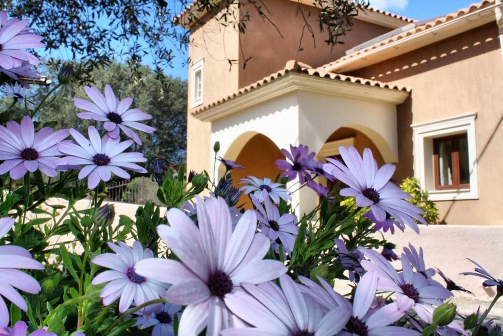 Lakithra Villa | Traditional Villa Mandola