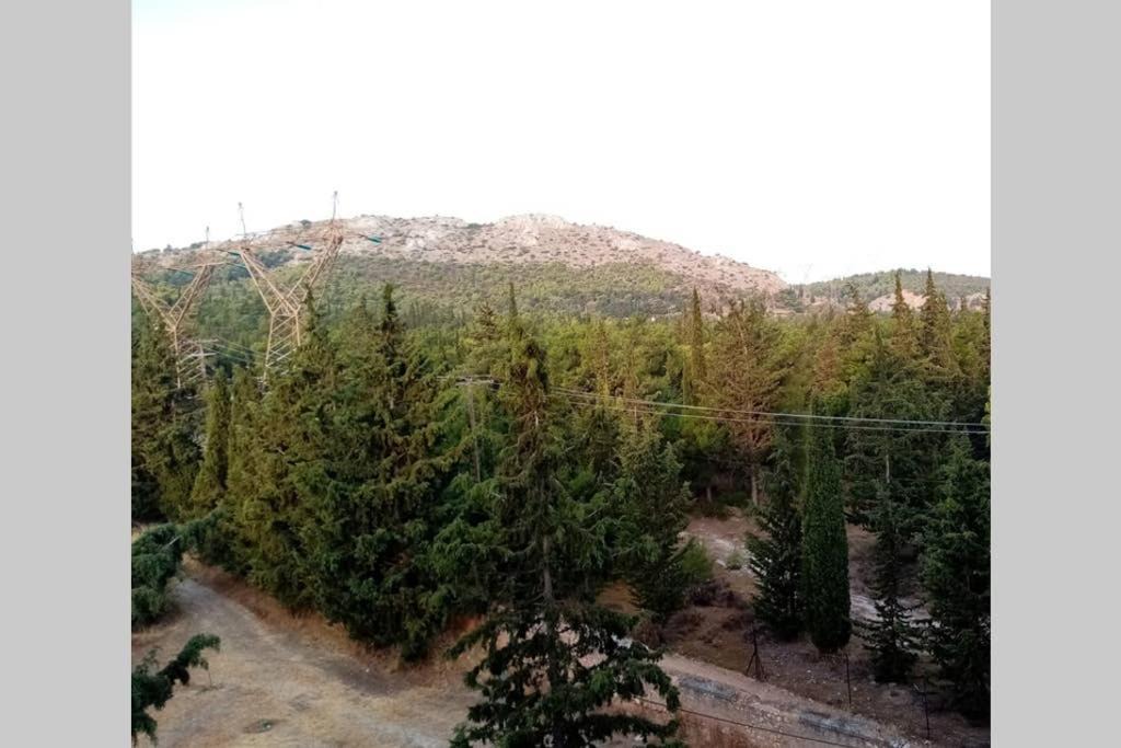 Chaidari Apartment | Very Quiet and Very Private next to the forest