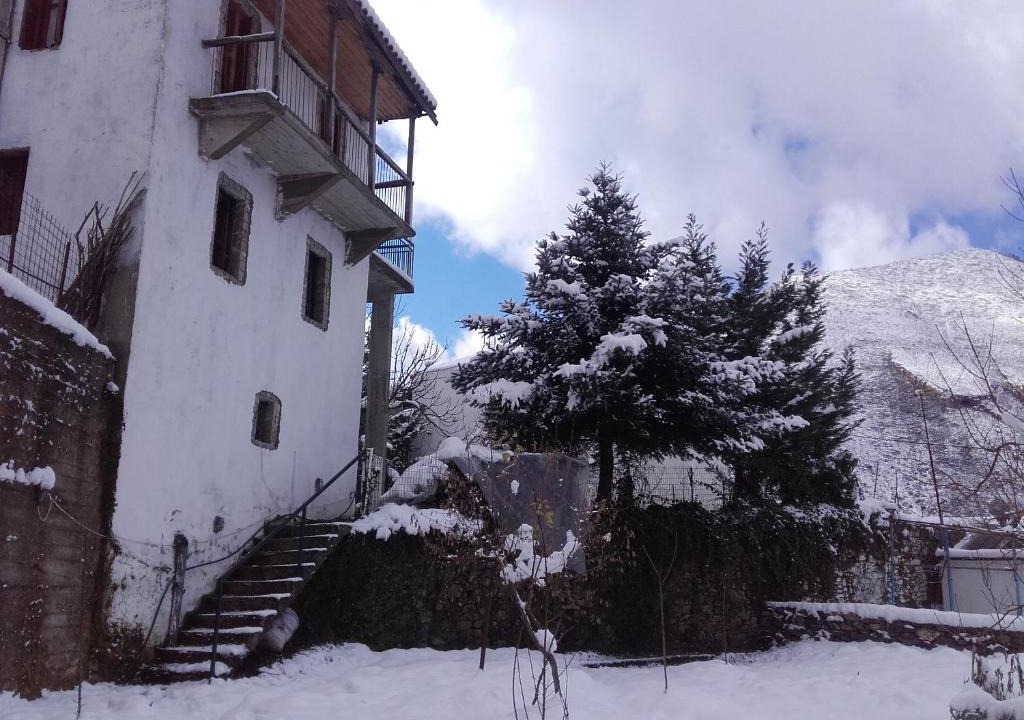 Artemisia House | Villa Artemis and apartments