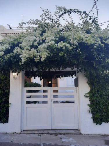 Petaloudes House | Villa Bianca