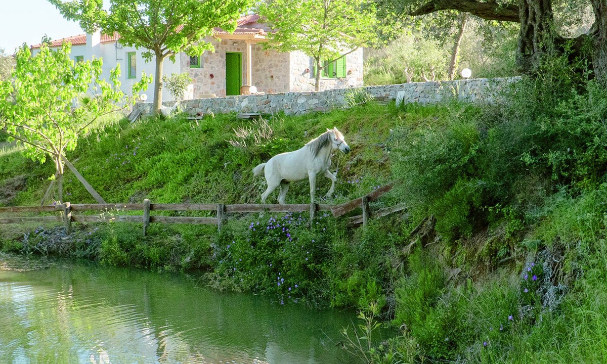 Lampini Villa | Villa Elia with mountain and lake view