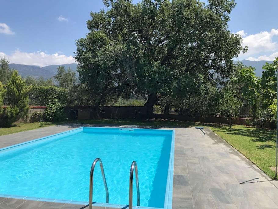Arfara House | Villa Evelina