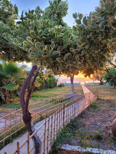 Nerantza House | VILLAMARE