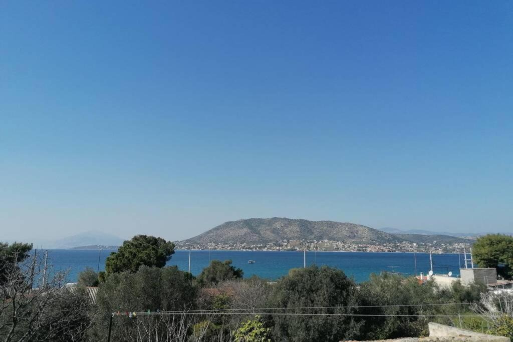 Salamis Villa | Welcome in Salamina