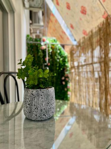 Vyronas Apartment | Yiayias home - Retro tranquility near Syntagma