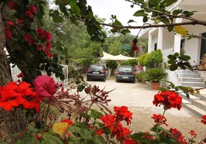 Angeliki Studio and Apartment