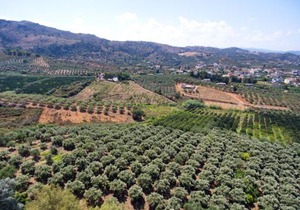 Maros Spitaki