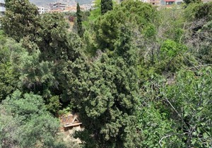 OASIS Exclusive Apartment @ Athenian Riviera