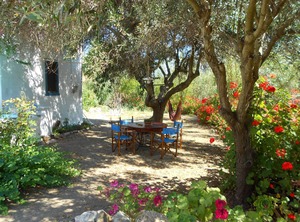 Country Syros Island Greece | Manna