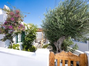 Mykonos | Platis Gialos
