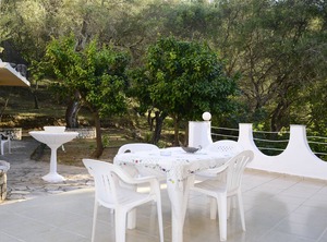 Corfu Agii Deka | Dafnata