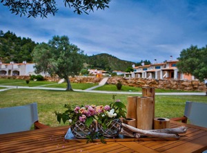 Nefeli Villa | Nea Skioni