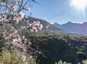 Panorama Of Blue | Tseria