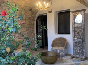 Positivespace Olive Tree | Lefktro