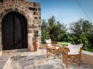 Positivespace Olive Tree | Lefktro