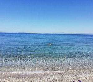 Fotis 